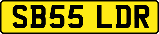 SB55LDR