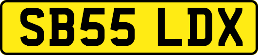 SB55LDX