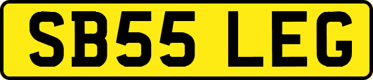 SB55LEG