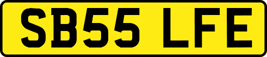 SB55LFE