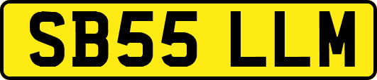 SB55LLM