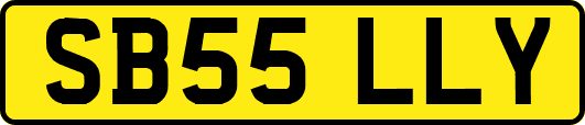 SB55LLY