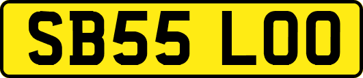 SB55LOO