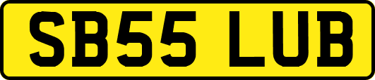 SB55LUB