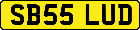 SB55LUD