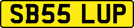 SB55LUP