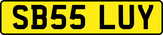 SB55LUY