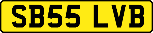 SB55LVB