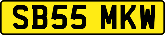 SB55MKW