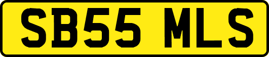 SB55MLS