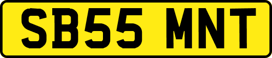 SB55MNT