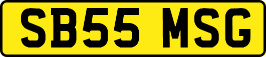 SB55MSG