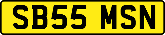 SB55MSN