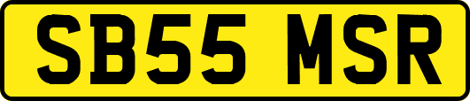 SB55MSR
