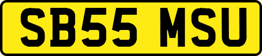SB55MSU