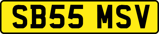 SB55MSV