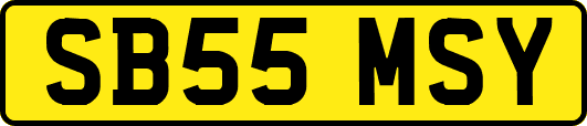SB55MSY