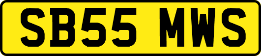 SB55MWS