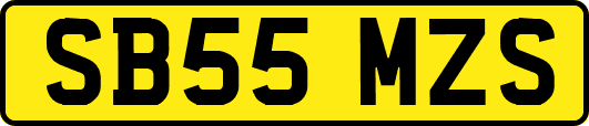 SB55MZS