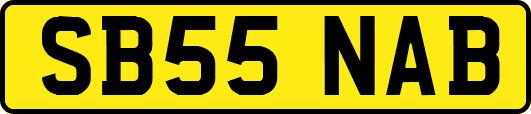 SB55NAB