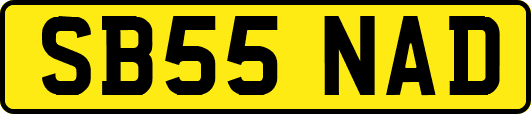 SB55NAD