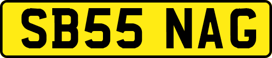 SB55NAG