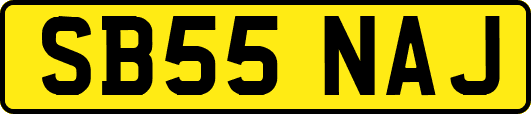 SB55NAJ