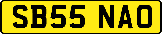 SB55NAO