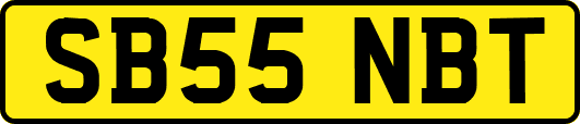 SB55NBT