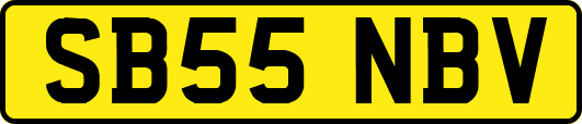 SB55NBV