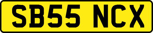 SB55NCX