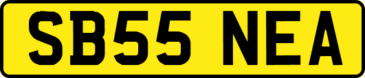 SB55NEA