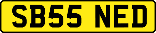 SB55NED