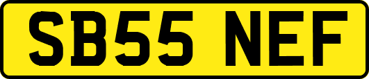 SB55NEF