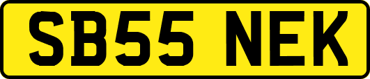 SB55NEK