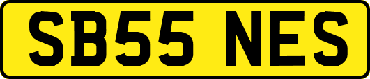 SB55NES