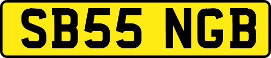 SB55NGB