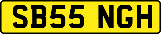 SB55NGH