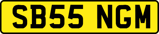 SB55NGM