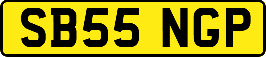 SB55NGP