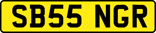 SB55NGR