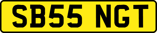 SB55NGT