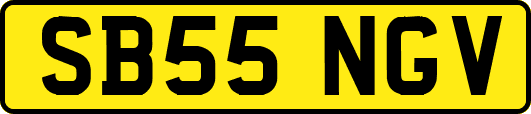 SB55NGV
