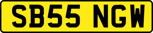 SB55NGW