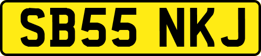SB55NKJ