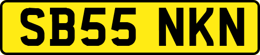 SB55NKN