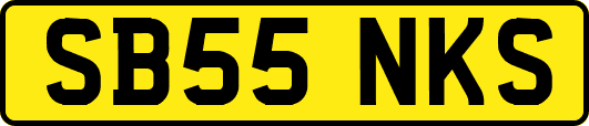 SB55NKS