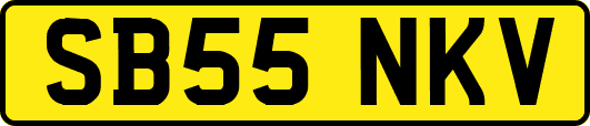 SB55NKV