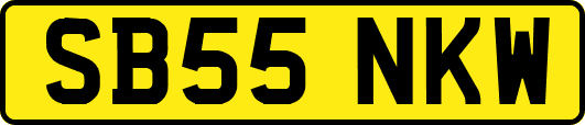 SB55NKW