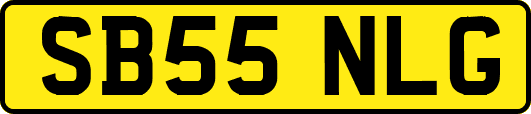 SB55NLG